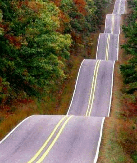 Highway 17, South Carolina